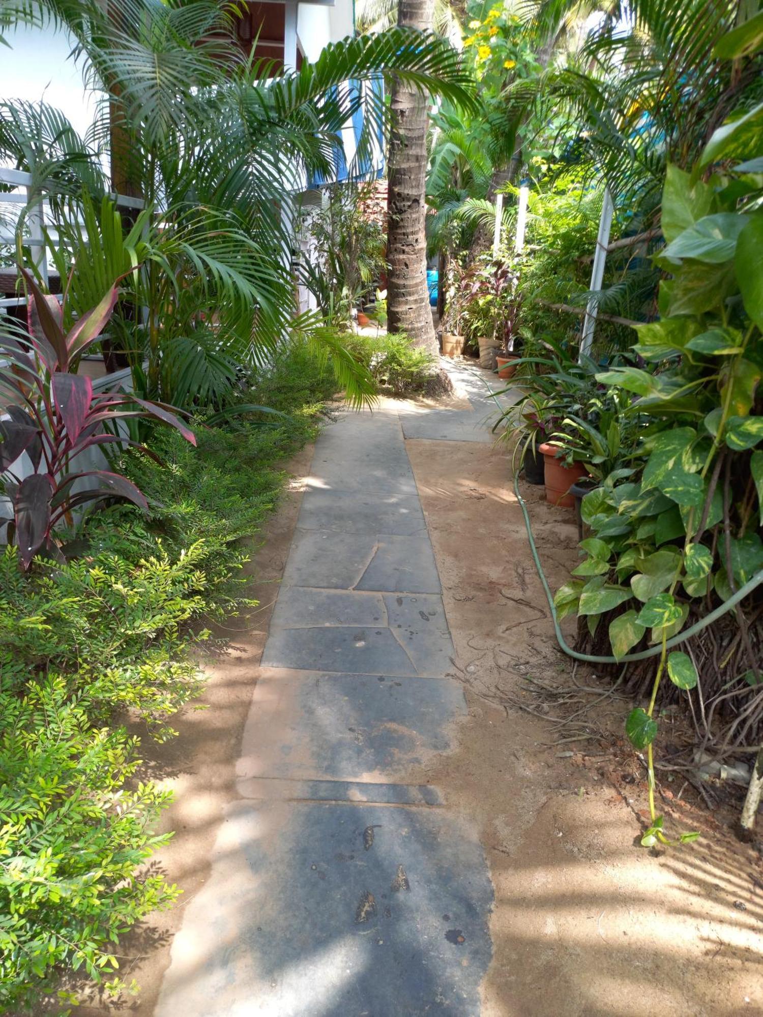 Royal Castle Resort Palolem, Canacona Exterior foto
